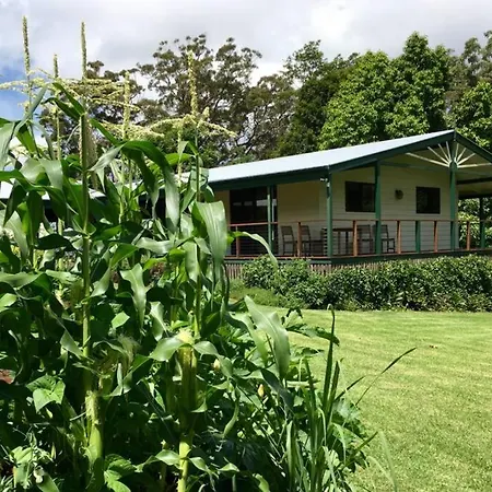Bundara - Idyllic Getaway In The Mountains Apartment Mount Tamborine Exterior photo