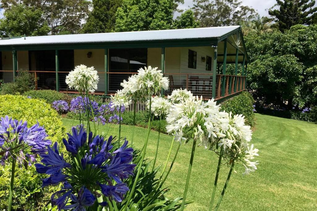 Apartment Bundara - Idyllic Getaway In The Mountains Mount Tamborine