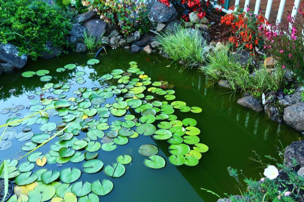Bundara - Idyllic Getaway In The Mountains * Mount Tamborine