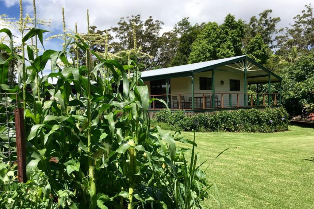 Bundara - Idyllic Getaway In The Mountains * Mount Tamborine
