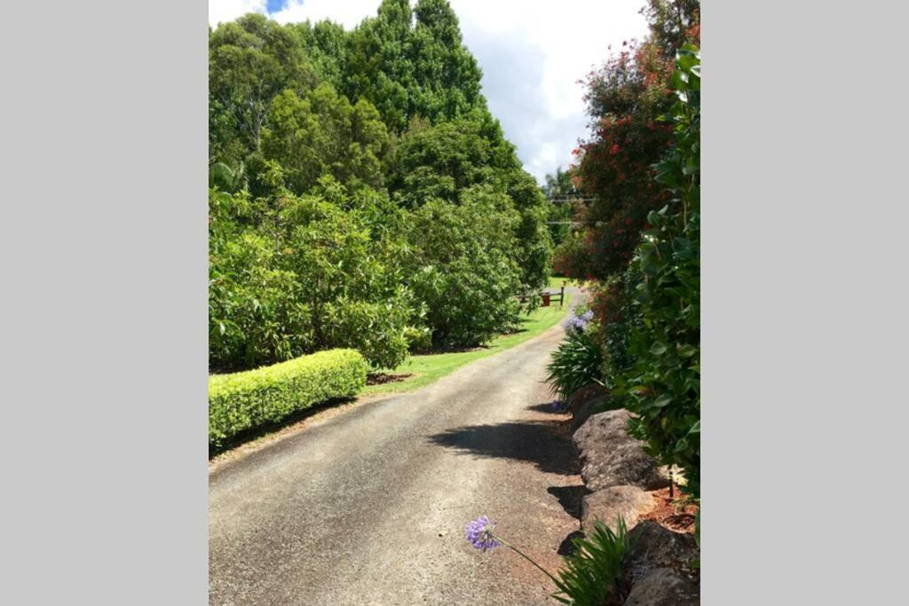 Apartment Bundara - Idyllic Getaway In The Mountains Mount Tamborine